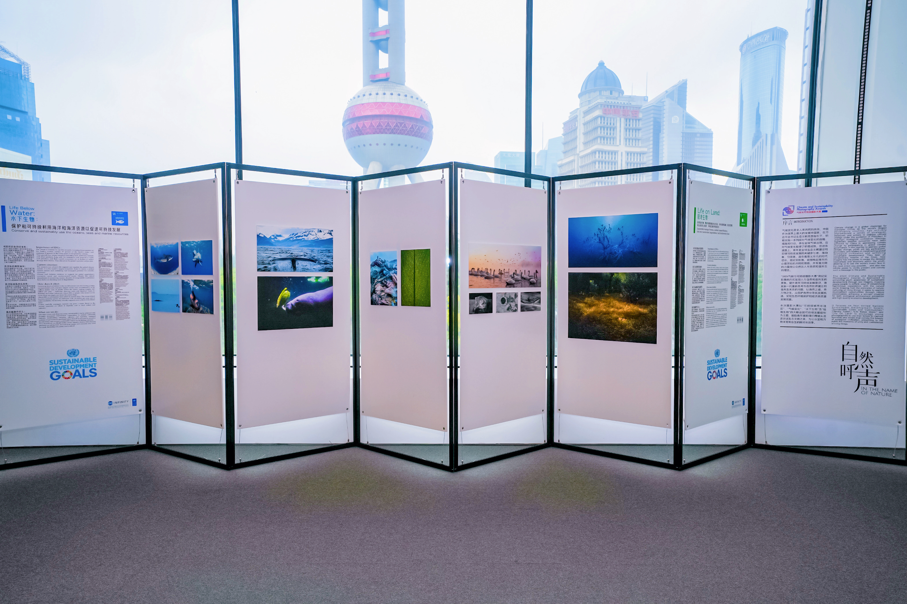 Climate Week opening