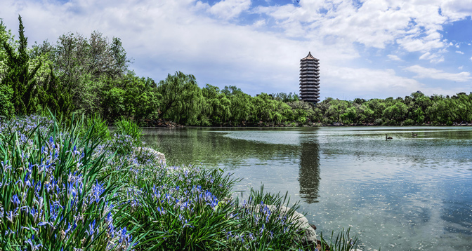 Peking University