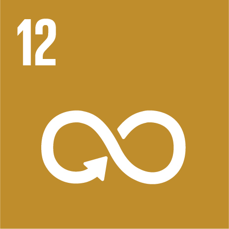 SDG 12 — Responsible Consumption and Production