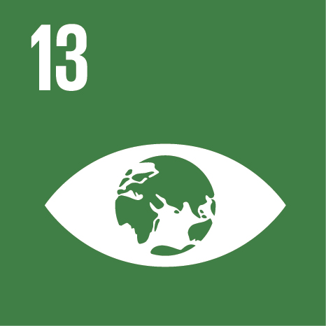 SDG 13 — Climate Action