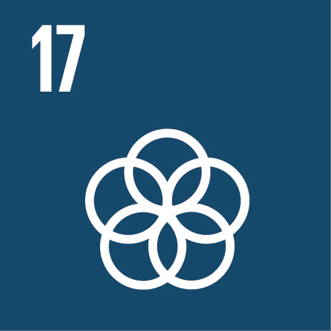 SDG 17 — Partnerships for the Goals